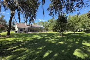 6913 Colley Rd, Odessa, FL 33556 - Photo 7