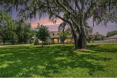 6913 Colley Road, Odessa, FL 33556 - Photo 5