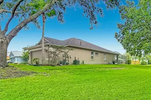19101 Golden Cacoon Pl, Lutz, FL 33558 - Photo 3
