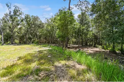 1758 Land O Lakes Boulevard, Lutz, FL 33549 - Photo 7