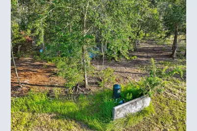 1758 Land O Lakes Boulevard, Lutz, FL 33549 - Photo 17