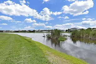 2422 Allegheny Valley St, Ruskin, FL 33570 - Photo 11