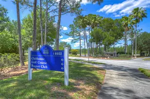 19312 Sea Mist Ln, Lutz, FL 33558 - Photo 57