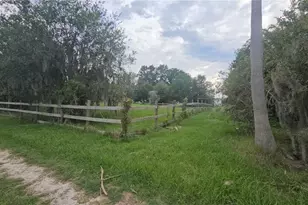 7309 Quail Meadow Rd, Plant City, FL 33565 - Photo 77