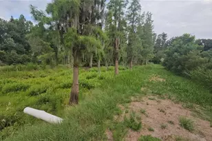 7309 Quail Meadow Rd, Plant City, FL 33565 - Photo 55