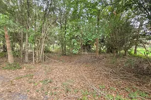 7309 Quail Meadow Rd, Plant City, FL 33565 - Photo 65
