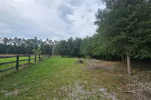 7309 Quail Meadow Rd, Plant City, FL 33565 - Photo 75