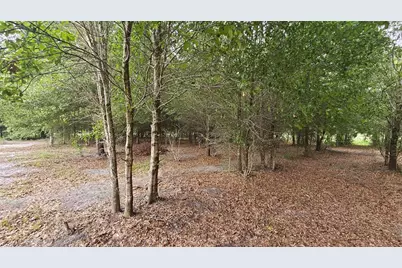 7309 Quail Meadow Road, Plant City, FL 33565 - Photo 65
