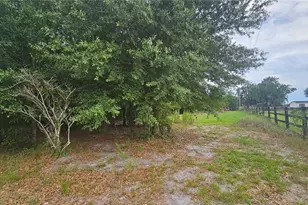 7309 Quail Meadow Rd, Plant City, FL 33565 - Photo 79