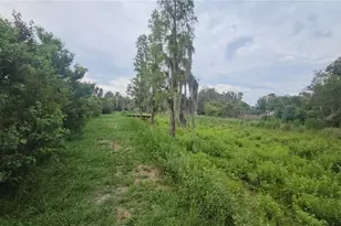 7309 Quail Meadow Rd, Plant City, FL 33565 - Photo 53