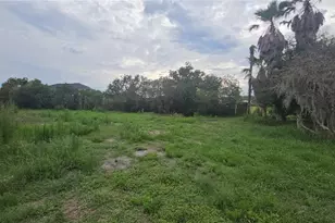 7309 Quail Meadow Rd, Plant City, FL 33565 - Photo 59