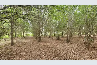 7309 Quail Meadow Road, Plant City, FL 33565 - Photo 67