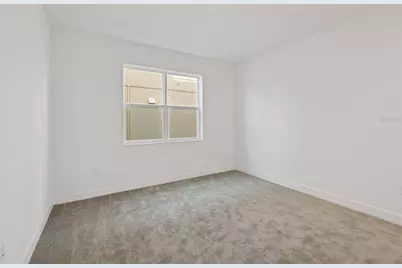 32684 Tamarind Grove Lane, Wesley Chapel, FL 33543 - Photo 23