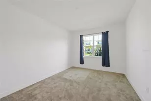 32684 Tamarind Grv Ln, Wesley Chapel, FL 33543 - Photo 19