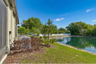 6076 Shiner Street, Land O Lakes, FL 34638 - Photo 35