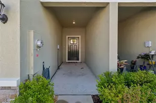 6076 Shiner St, Land O Lakes, FL 34638 - Photo 5
