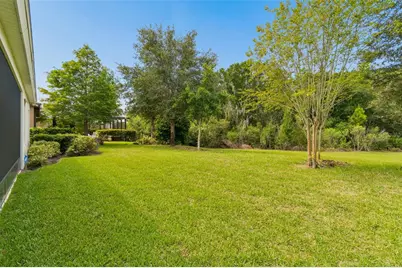 3834 Balcony Breeze Drive, Land O Lakes, FL 34638 - Photo 27