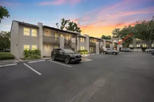 527 S Lincoln Ave, Tampa, FL 33609 - Photo 5