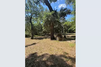 4405 Coconut Cove Place, Valrico, FL 33596 - Photo 3