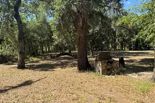 4405 Coconut Cove Pl, Valrico, FL 33596 - Photo 3