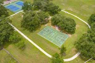 15816 Hound Horn Ln, Tampa, FL 33624 - Photo 81
