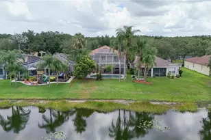 19128 Meadow Pine Dr, Tampa, FL 33647 - Photo 53
