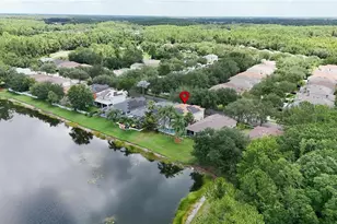 19128 Meadow Pine Dr, Tampa, FL 33647 - Photo 55