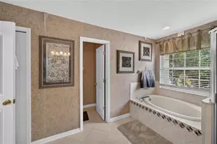 19128 Meadow Pine Dr, Tampa, FL 33647 - Photo 29