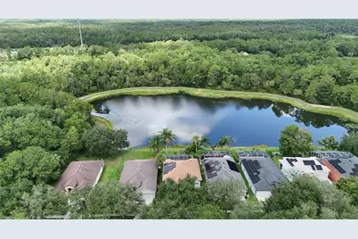 19128 Meadow Pine Drive, Tampa, FL 33647 - Photo 51