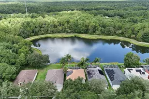 19128 Meadow Pine Dr, Tampa, FL 33647 - Photo 51