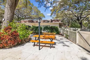 860 Virginia St, Dunedin, FL 34698 - Photo 47