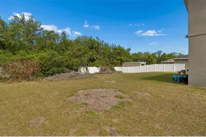 10620 Carloway Hills Drive, Wimauma, FL 33598 - Photo 33
