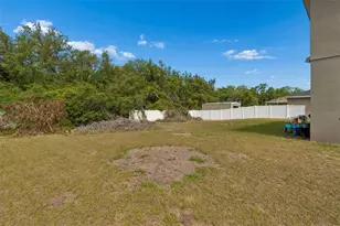 10620 Carloway Hills Dr, Wimauma, FL 33598 - Photo 33