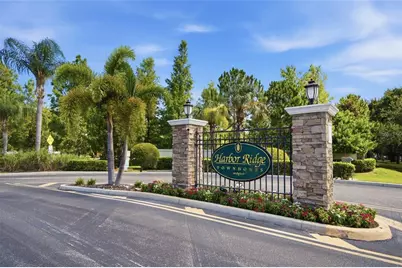 485 Harbor Ridge Drive, Palm Harbor, FL 34683 - Photo 35