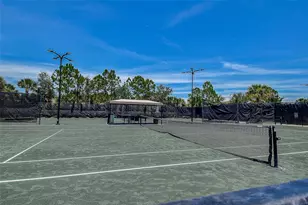 30932 Lindentree Dr, Wesley Chapel, FL 33543 - Photo 53