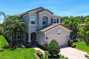 30932 Lindentree Dr, Wesley Chapel, FL 33543 - Photo 1