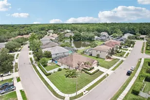 1008 Robinwood Dr, Oldsmar, FL 34677 - Photo 45