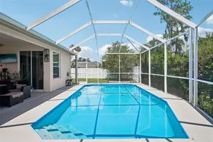 1008 Robinwood Dr, Oldsmar, FL 34677 - Photo 41