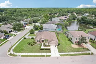 1008 Robinwood Dr, Oldsmar, FL 34677 - Photo 49