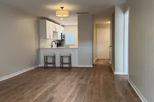 3819 N Oak Dr, Tampa, FL 33611 - Photo 5