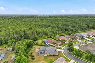 23534 Gracewood Cir, Land O Lakes, FL 34639 - Photo 79