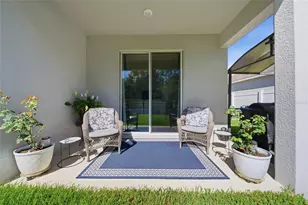 5234 Turtle Bay Dr, Wesley Chapel, FL 33545 - Photo 35