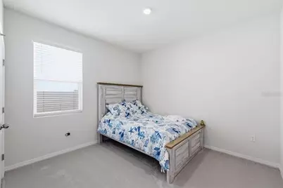1413 Tropical Oasis Avenue, Plant City, FL 33565 - Photo 19