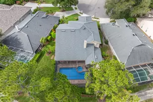 5562 Ave Du Soleil, Lutz, FL 33558 - Photo 49