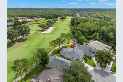 5562 Avenue Du Soleil, Lutz, FL 33558 - Photo 47