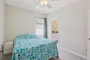 32010 Blue Passing Loop, Wesley Chapel, FL 33545 - Photo 19
