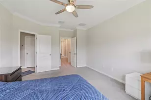 32010 Blue Passing Loop, Wesley Chapel, FL 33545 - Photo 15