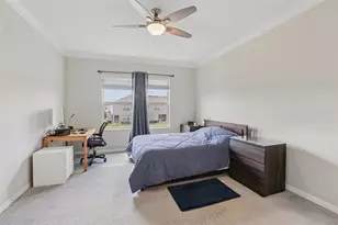 32010 Blue Passing Loop, Wesley Chapel, FL 33545 - Photo 13