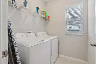 32010 Blue Passing Loop, Wesley Chapel, FL 33545 - Photo 19