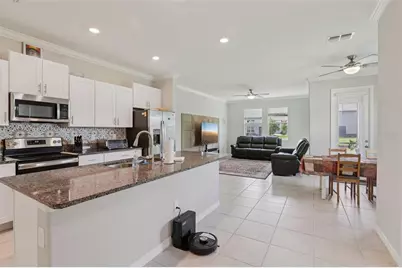 32010 Blue Passing Loop, Wesley Chapel, FL 33545 - Photo 7